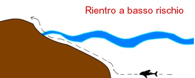 358 Rientro delle otarie a basso rischio